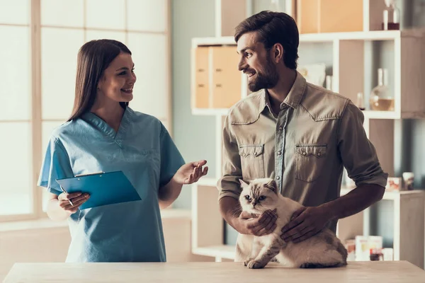 Lindo Gato Con Propietario Clínica Veterinaria Médico Veterinario Está Haciendo — Foto de Stock