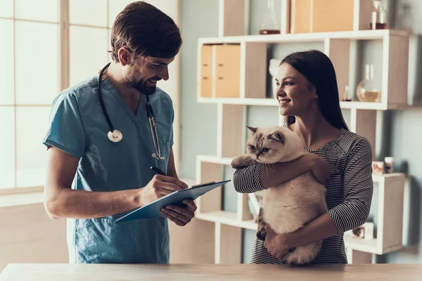 Lindo Gato Con Propietario Clínica Veterinaria Médico Veterinario Está Haciendo — Foto de Stock