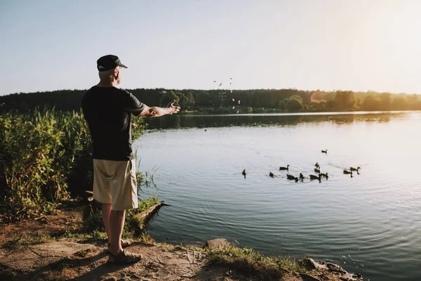 Starý Muž Čepici Krmení Kachen Řece Létě Zvířata Jezeře Relaxační — Stock fotografie