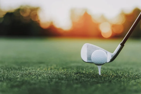 Bâton Golf Balle Golf Sur Stand Sur Green Field Green — Photo