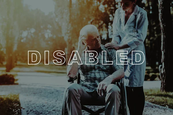 世話をします 人間の古い車椅子 日当たりの良い公園 特別養護老人ホーム ペンションです 障害者です 健康的です 風景です ツリー Rrehabilitation — ストック写真