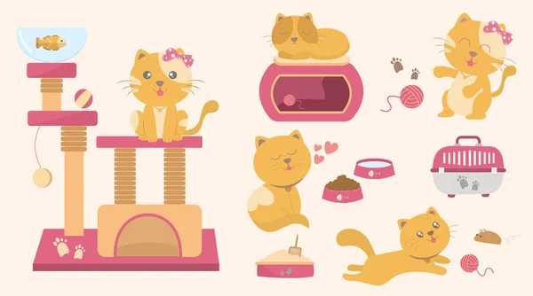 Şirin kedi vektör illüstrasyonu. Kedi oyuncakları koleksiyonu. Düz tasarım vektör illüstrasyonu. Birçok aksesuarlı evcil hayvan dükkanı poster tasarımı.