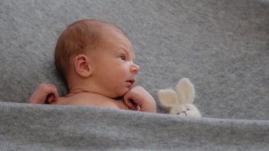 Gri arka planda yeni doğmuş bir bebek. Yeni yetme bir oyuncakla. Hayatın ilk günleri.