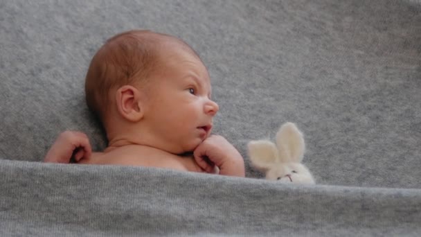 Ένα νεογέννητο σε γκρι φόντο. Ο Neonatale με ένα παιχνίδι. Οι πρώτες μέρες της ζωής — Αρχείο Βίντεο