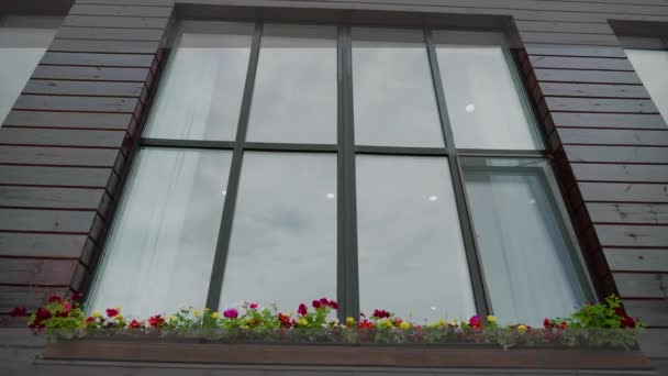 Large window outside. Flower pots on the windowsill from the street side. — Stock Video