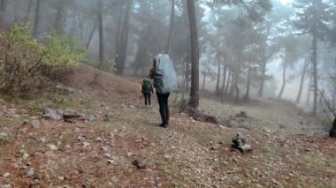 Sırt çantalı iki turist bir orman bölgesinden geçiyor. Lycian Yolu 'nda yürümek.
