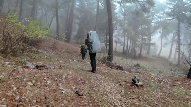 バックパックを持つ2人の観光客が森林地帯を横断する。Lycian Wayのハイキング. — ストック動画