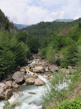 Dağlardaki dağ nehri