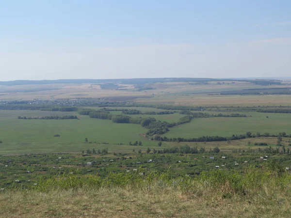 Tarlada ineklerle manzara