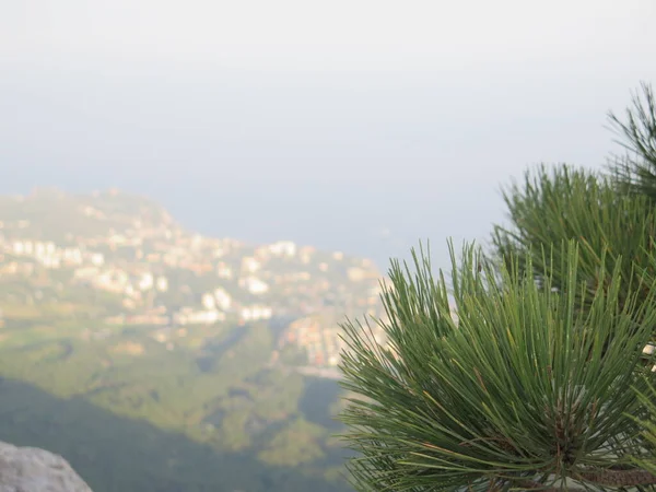 Dağın tepesinden manzara