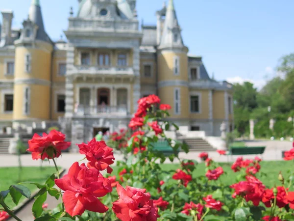Baharda Fransa 'nın resmedilmiş Brüksel şehri