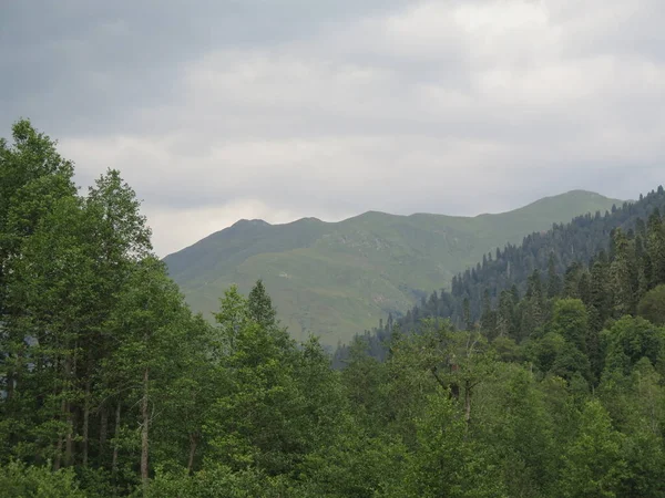 Dağlardaki dağ manzarası