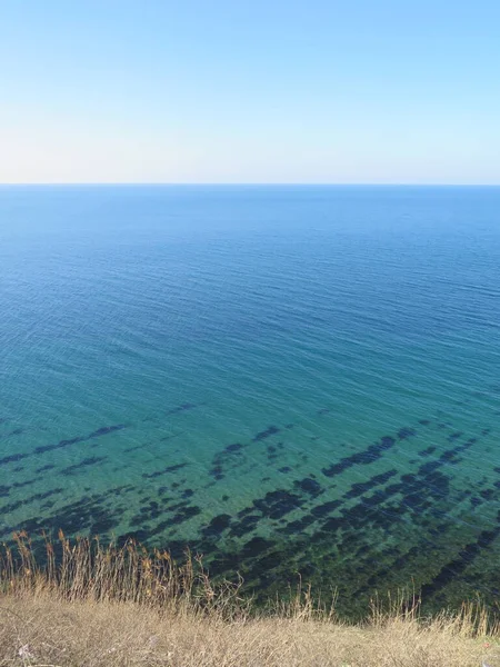 Çimenli deniz manzarası
