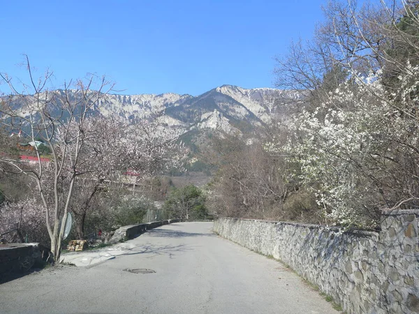 İlkbaharda karla kaplı yol