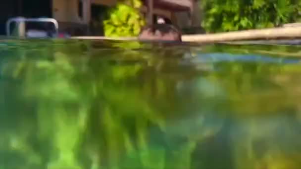 Yüzme havuzundaki çocuk suyun altında. — Stok video