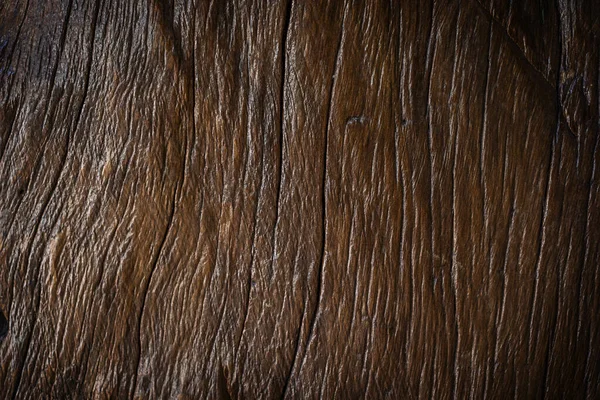 Textura Madera Oscura Vieja Con Viñetas — Foto de Stock