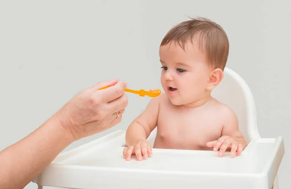 cute baby first meal.  mom\'s hand feeds the rabbi from a spoon with orange puree