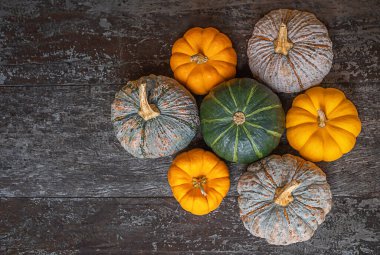 Tahta arka planda üç çeşit balkabağı. turuncu, yeşil ve bej balkabağı. hasat