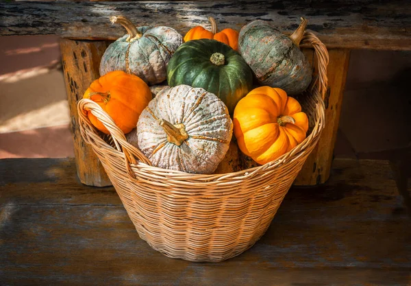 Tahta arka plandaki saman sepetinde farklı türde bal kabakları var.