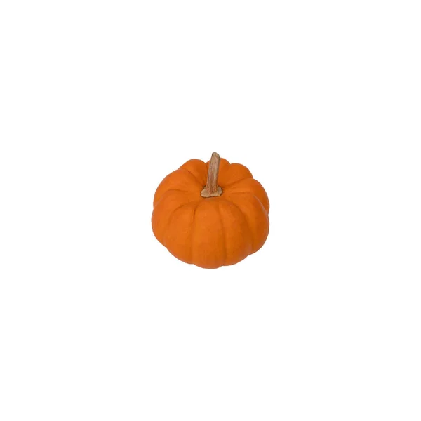 Pumpkin Vegetables Isolate White Background — Stock Photo, Image