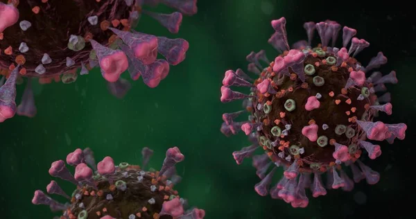 Corona VIrus COVID-19 mikroskop altında