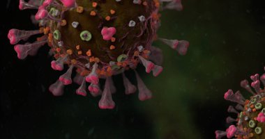 Corona VIrus COVID-19 mikroskop altında