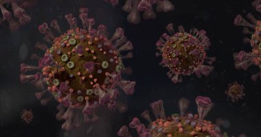 Corona VIrus COVID-19 mikroskop altında