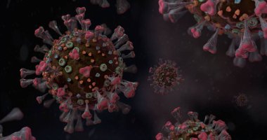 Corona VIrus COVID-19 mikroskop altında