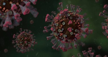 Corona VIrus COVID-19 mikroskop altında