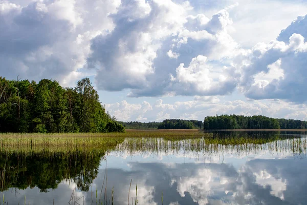 Ormandaki bulutlu göl.