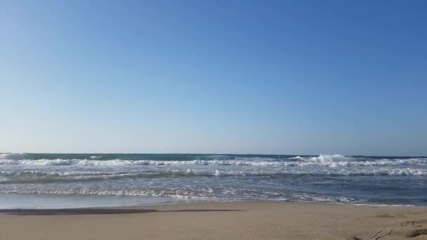 Ung Tonåring Solglasögon Passerar Uttråkad Stranden Solig Sommardag Hersonissos Kreta — Stockvideo