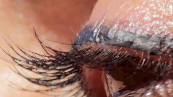 Woman Brown Eye Ball Closeup Macro Reflections Shine — 비디오