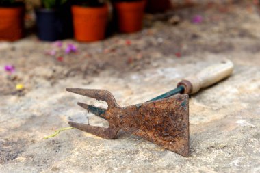 Paslı bahçe çapası