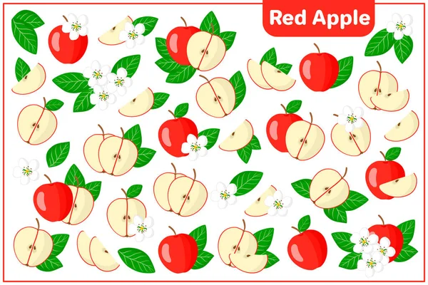 Set Of Vector Cartoon Illustrations With Whole Half Cut Slice Red Apple Exotic Fruits Flowers And Leaves Isolated On White Background Stock Images Page Everypixel