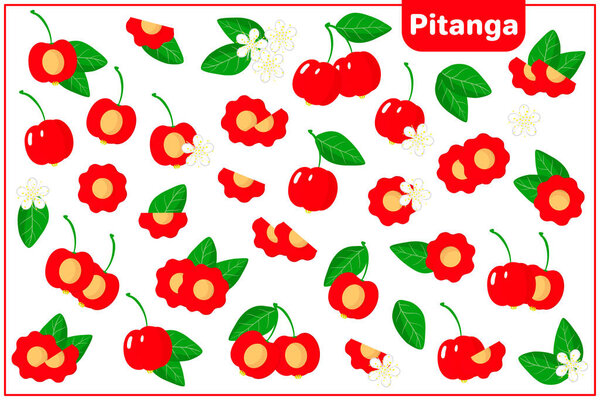 Set of vector cartoon illustrations with whole, half, cut slice Pitanga exotic fruits, flowers and leaves isolated on white background