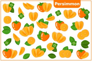 Beyaz arka planda tamamen kesilmiş Persimmon egzotik meyveleri, çiçekleri ve yaprakları içeren vektör karikatür çizimleri