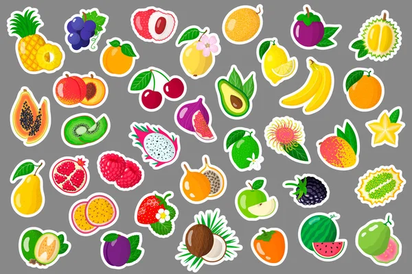 Yazın ekzotik meyve ve böğürtlenli vektör karikatür etiketleri. Ananas, papaya, armut, feijoa, üzüm, şeftali, kiwifruit, nar, kayısı, ahududu, erik çileği vs.