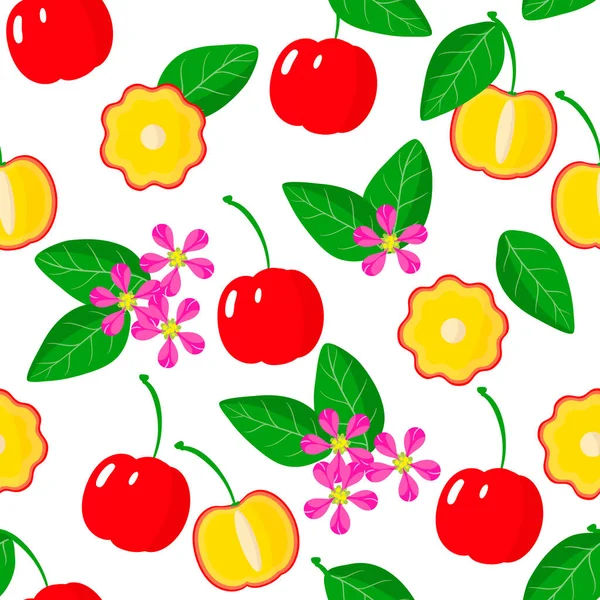 バルバドスチェリー マルピヒアEmargitanaやAcerolaエキゾチックな果物 花や葉とベクトル漫画シームレスパターンウェブ 布のテクスチャや壁紙のための白い背景に — ストックベクタ