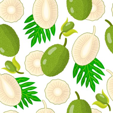Beyaz arka planda Artocarpus altilis ya da Ekmek meyvesi egzotik meyveler, çiçekler ve yapraklarla ağ, baskı, kumaş dokusu ya da duvar kağıdı için vektör karikatür deseni