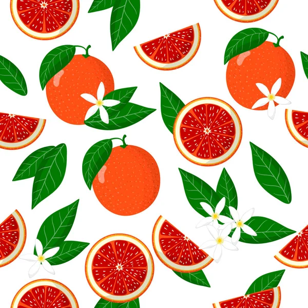 Citrus Sinensisや血液オレンジエキゾチックな果物 花や葉とベクトル漫画のシームレスなパターンは ウェブ 布のテクスチャや壁紙のための白い背景に — ストックベクタ