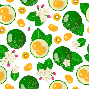 Vector cartoon seamless pattern with Caryocar brasiliense or pequi exotic fruits, flowers and leafs on white background for web, print, cloth texture or wallpaper clipart