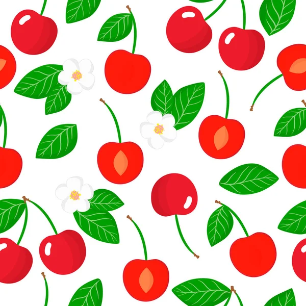Vector Cartoon Seamless Pattern Prunus Subgen Cerasus Cherry Exotic Fruits — Stock Vector
