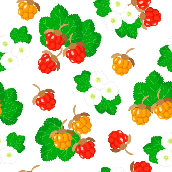 Vector Cartoon Nahtloses Muster Mit Rubus Chamaemorus Oder Moltebeere Exotischen — Stockvektor