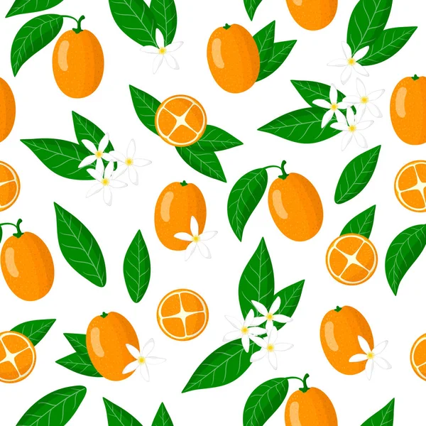 Vector Cartoon Naadloos Patroon Met Fortunella Kumquat Exotische Vruchten Bloemen — Stockvector