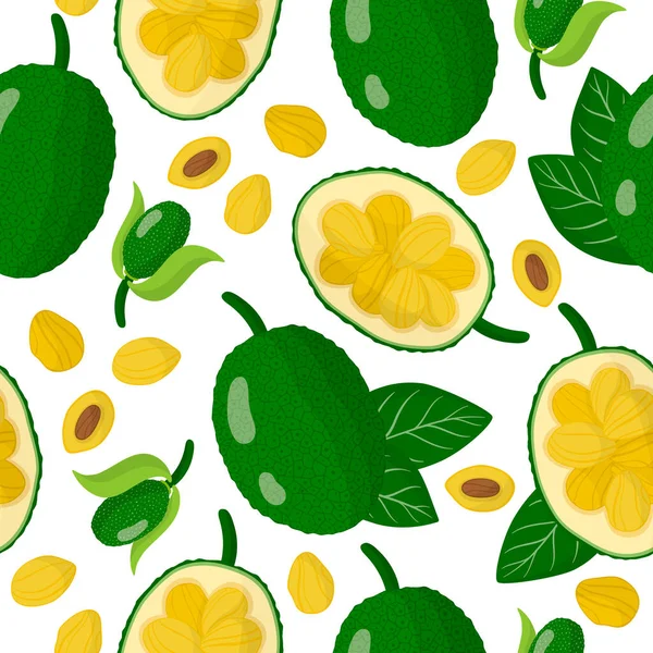 Beyaz arka planda Artocarpus heterophyllus ya da Jackfruit egzotik meyveleri, çiçekleri ve yaprakları ile ağ, baskı, kumaş dokusu ya da duvar kağıdı için vektör karikatür deseni