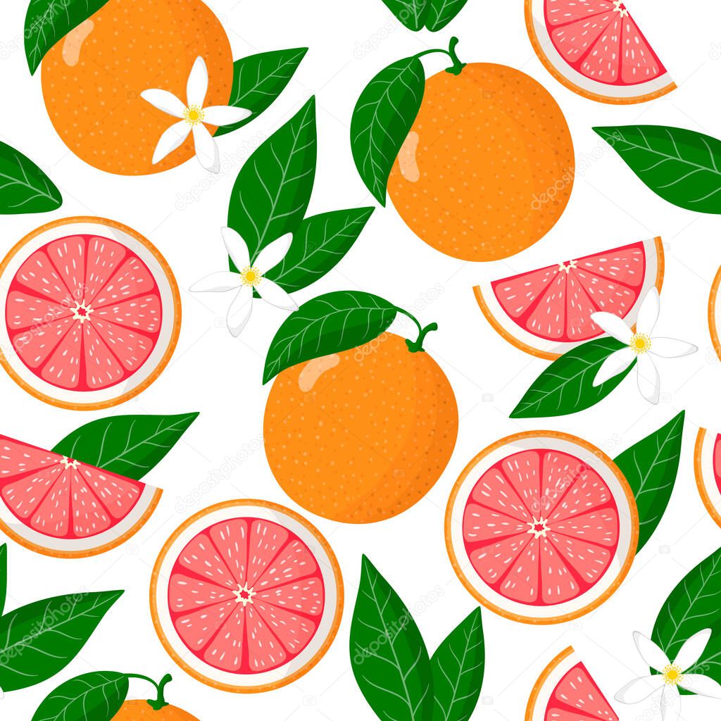 Vector cartoon seamless pattern with Citrus paradisi or Grapefruit exotic fruits, flowers and leafs on white background for web, print, cloth texture or wallpaper