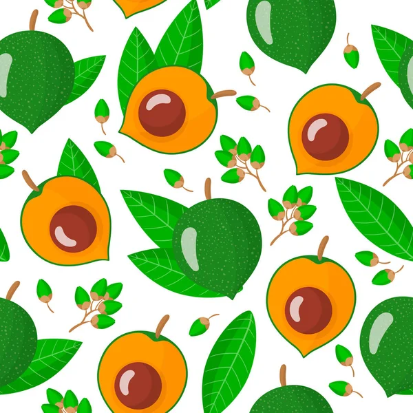 Patrón Sin Costura Dibujos Animados Vectoriales Con Frutas Exóticas Pouteria — Vector de stock