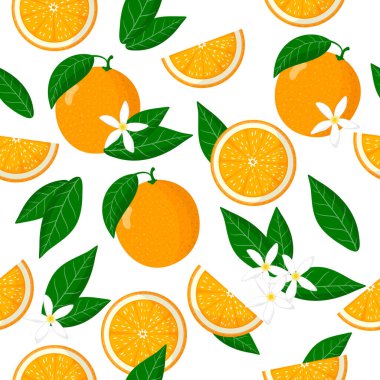 Beyaz arkaplanda beyaz arkaplan, ağ, baskı, kumaş dokusu ya da duvar kağıdı için turuncu sinensis ya da egzotik meyveler, çiçekler ve yapraklarla vektör karikatür deseni