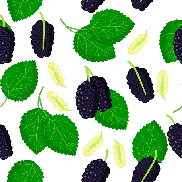 Vector Cartoon Seamless Pattern Black Morus Mulberries Exotic Fruits Flowers — Stock Vector
