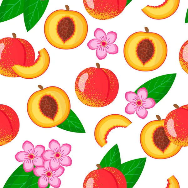 Patrón Sin Costura Dibujos Animados Vectoriales Con Prunus Persica Nucipersica — Vector de stock